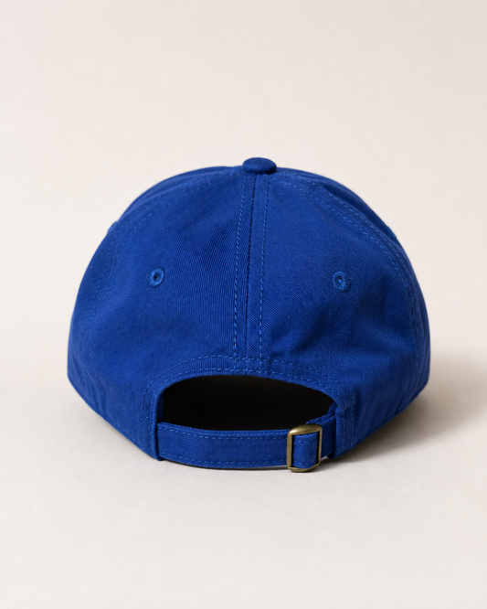 MONSTERS UNIVERSITY AZUL REY