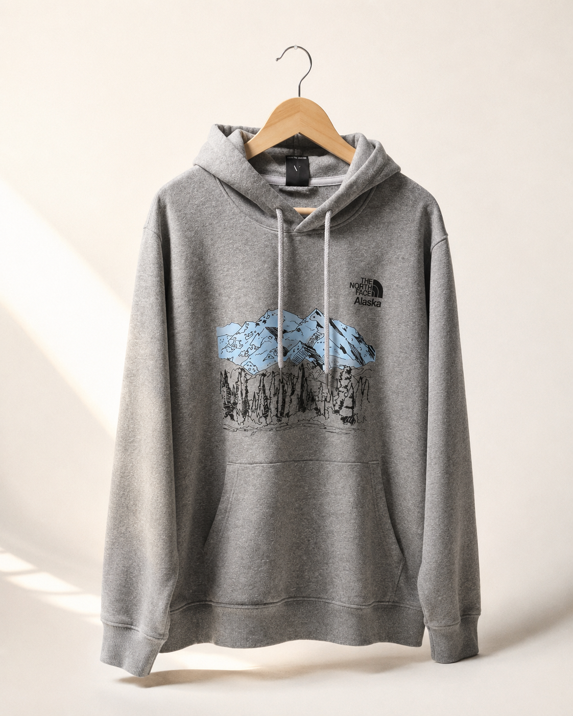 HOODIE THE NORTH FACE