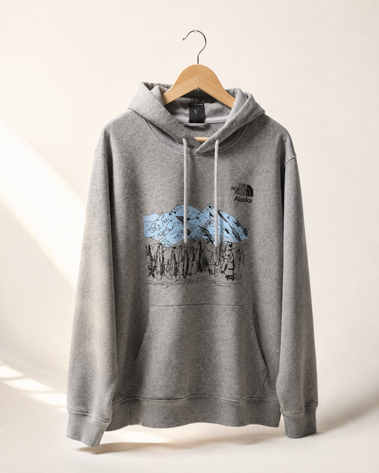 HOODIE THE NORTH FACE